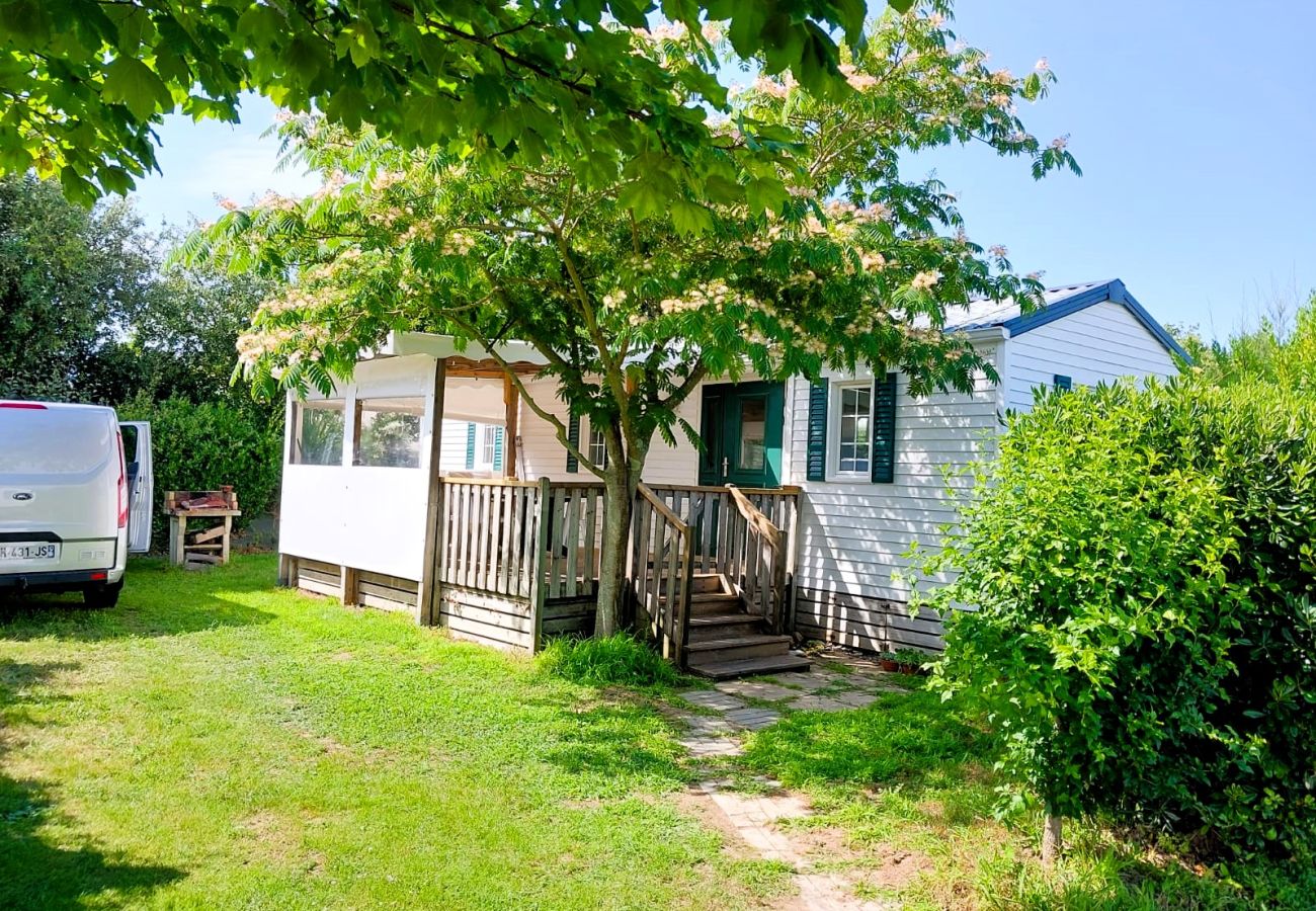 Mobile home à Talmont-Saint-Hilaire - L'ALBIZIA - Chalet bord de mer