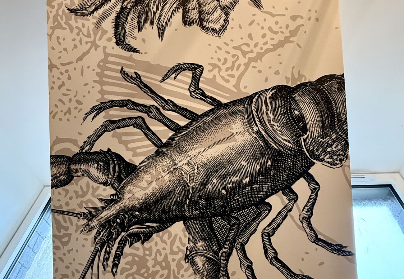 Appartement à Le Conquet - AU HOMARD SUSPENDU  - 2 personnes